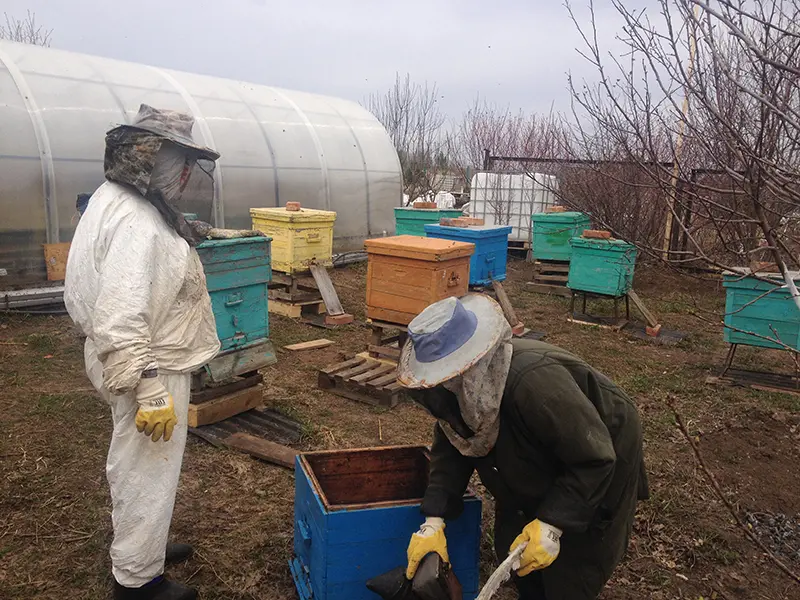 Ульи из ППС