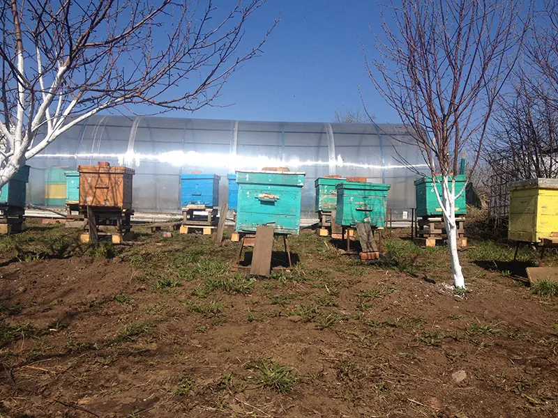 Ульи из ППУ